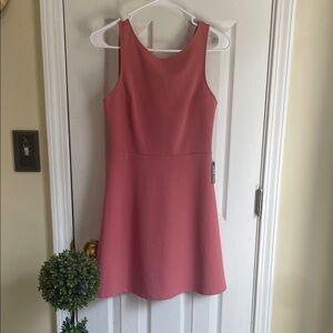 Express Pink Coquette Cottagecore Mini Skater Dress
